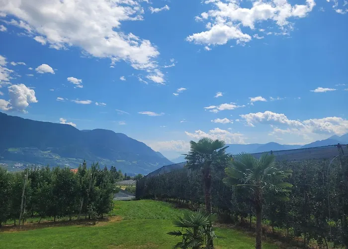 Hotel vicino al College: Platterhof